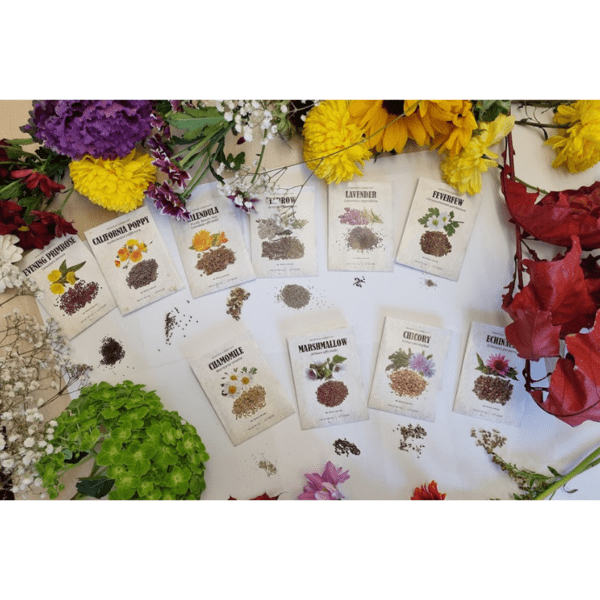 Medicinal Garden Kit with "Herbal Medicinal Guide: From Seeds to Remedies"